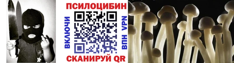 Псилоцибиновые грибы Psilocybe  Купить закладки  Строитель 